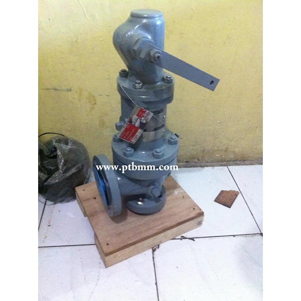 SAFETY VALVE CONSOLIDATED